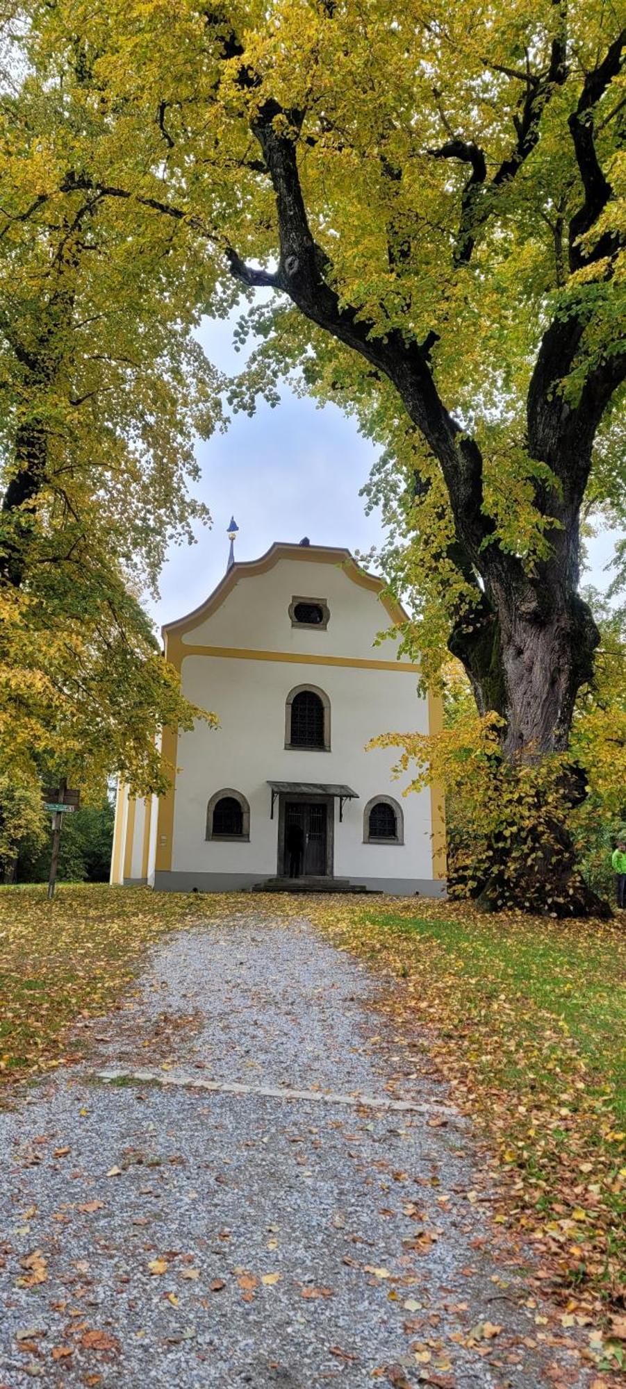 Ferienwohnung Bayerwaldblick Jandelsbrunn Exterior photo