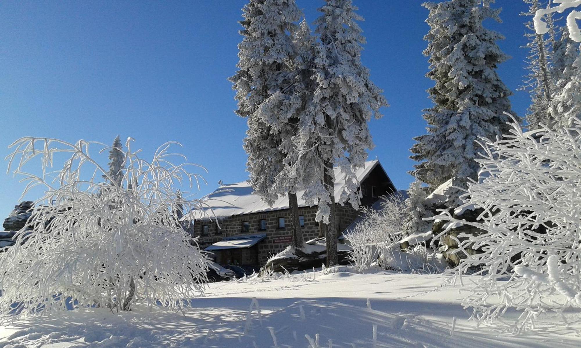 Ferienwohnung Bayerwaldblick Jandelsbrunn Exterior photo